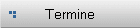 Termine